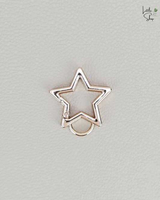 Karabiner Stern gross