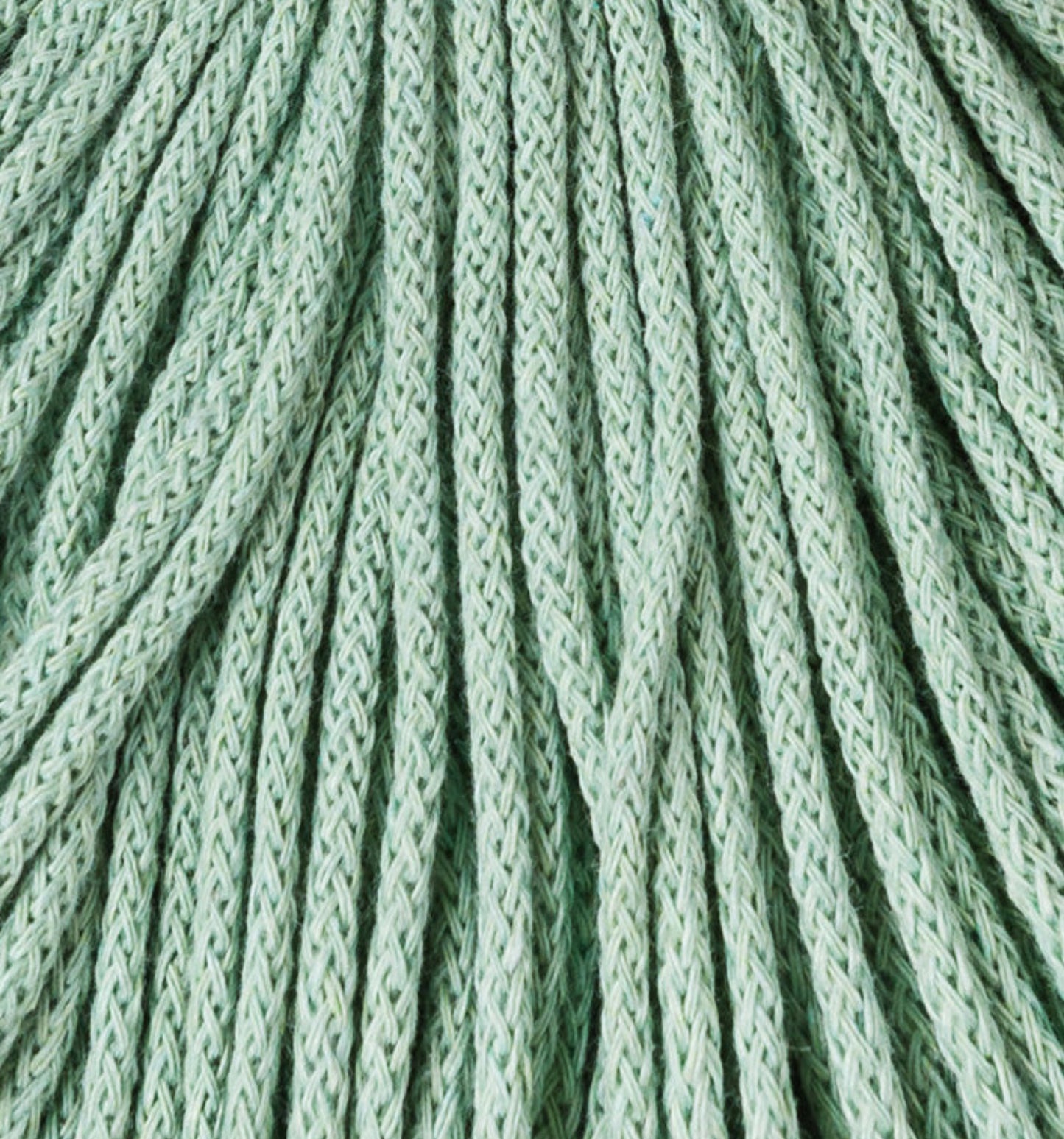 Junior 3 mm - Aloe