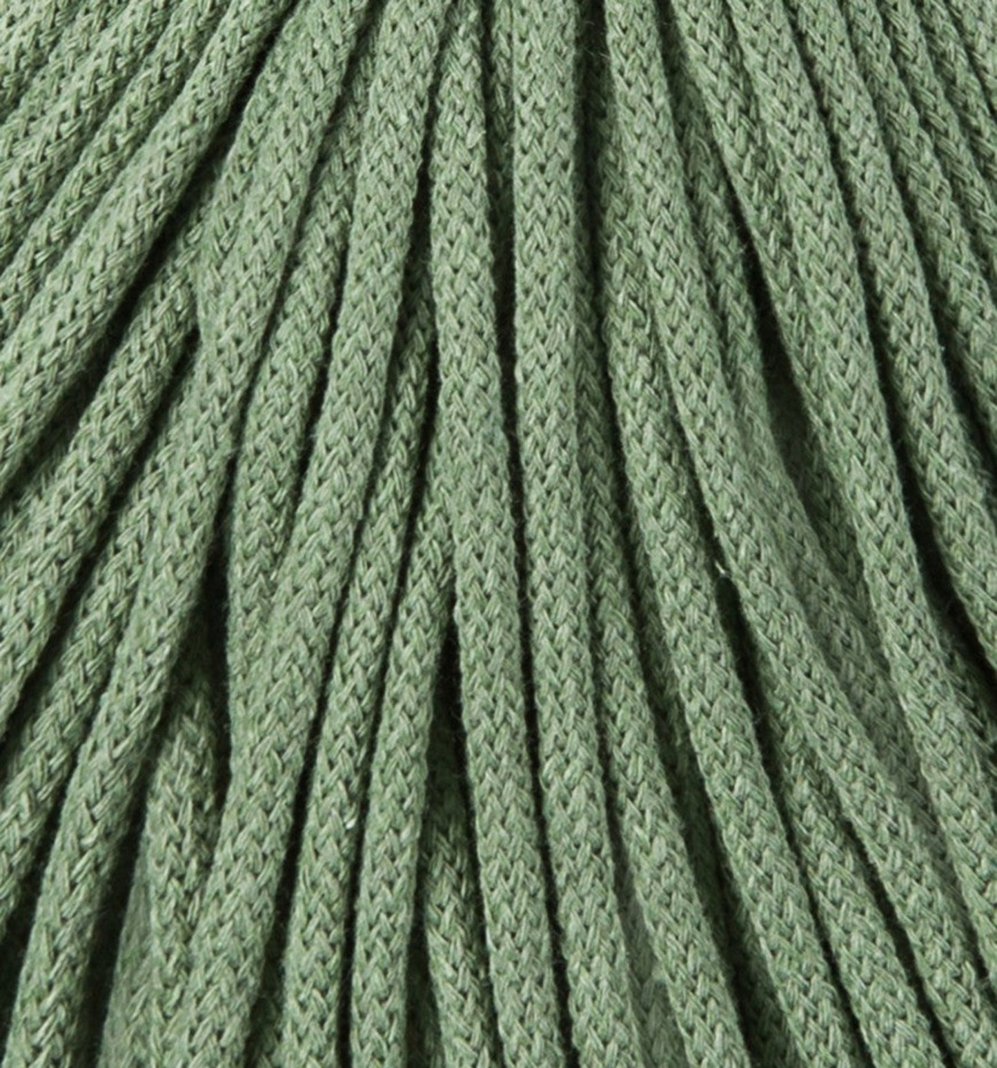 Premium 5 mm - Eucalyptus Green
