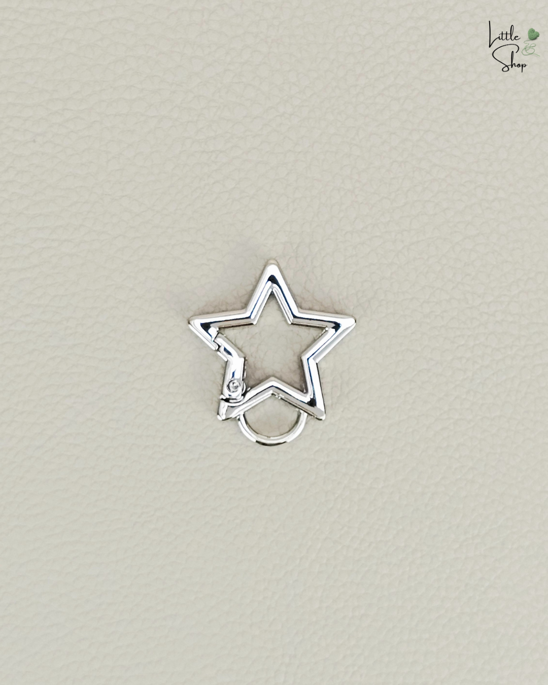 Karabiner Stern klein