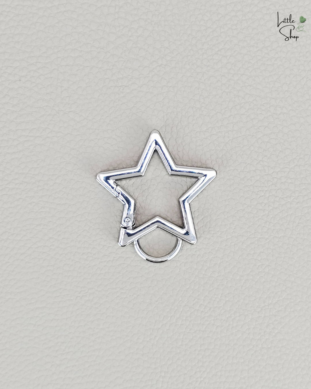 Karabiner Stern gross