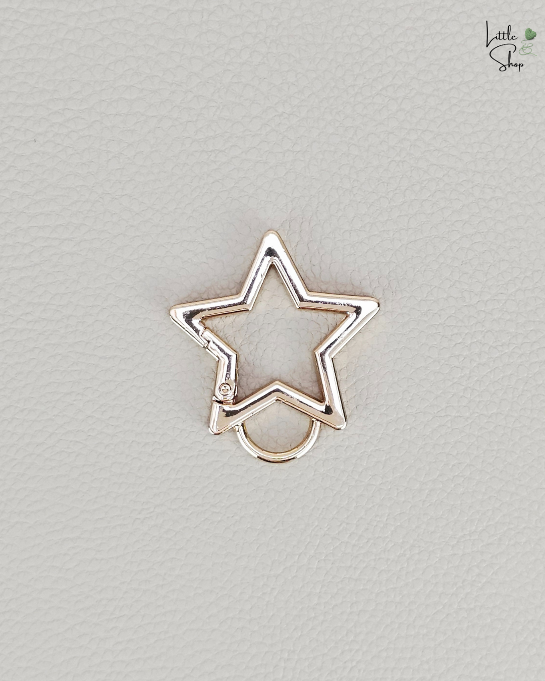 Karabiner Stern gross